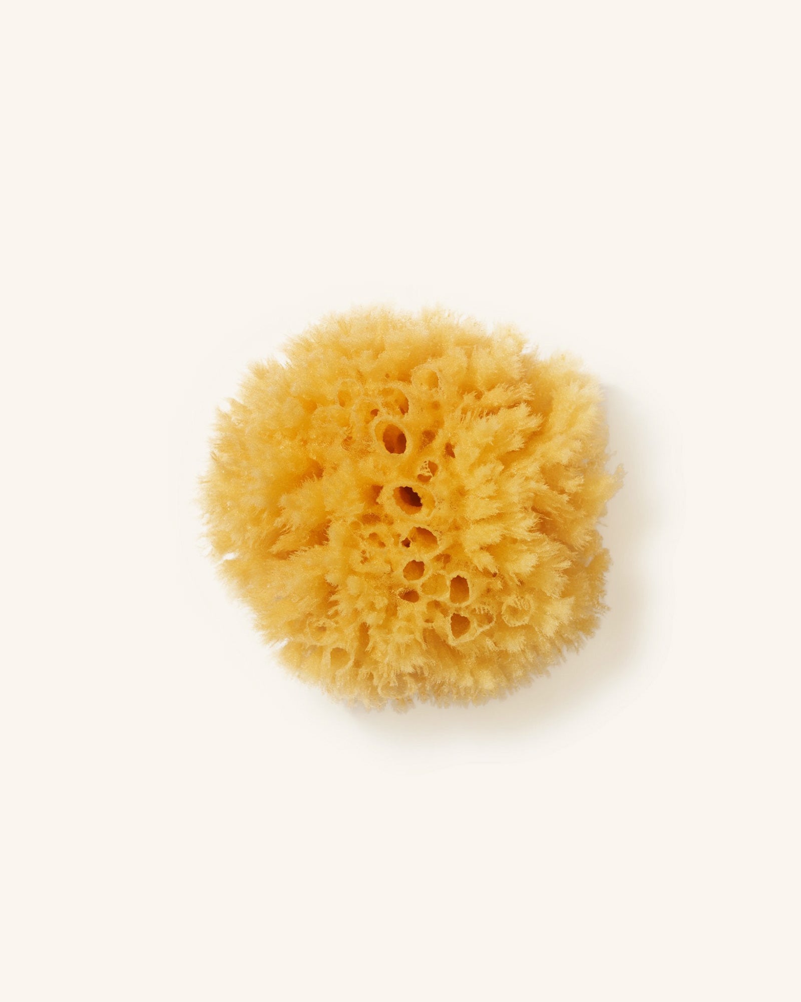 Sea sponge - Nüssa Cosmetics