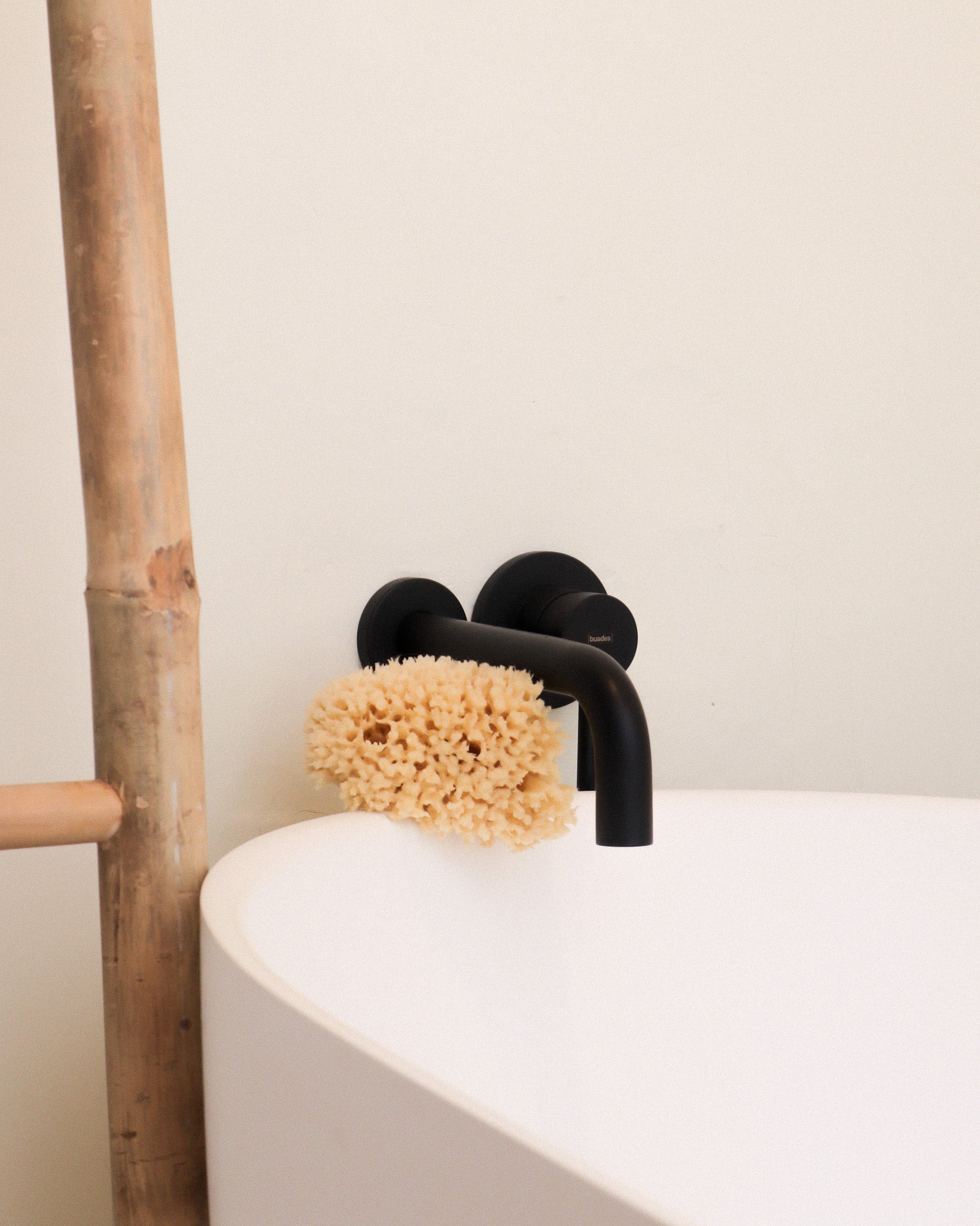 Sea sponge
